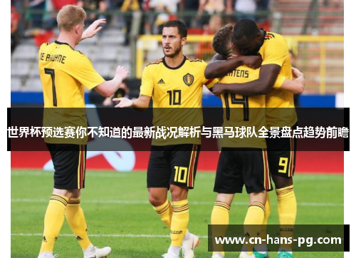 世界杯预选赛你不知道的最新战况解析与黑马球队全景盘点趋势前瞻 世界杯预选赛你不知道的最新战况解析与黑马球队全景盘点趋势前瞻